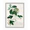 Stupell Industries Botanical Green Plant Illustration Gray Framed Wall Art